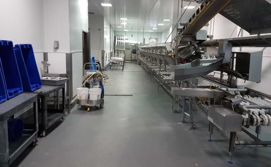processing plant floor with epoxy coating